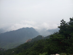 山间云雾缭绕的绿意景致