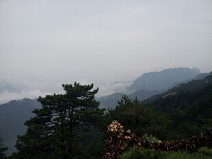 山间云雾缭绕的静谧景致