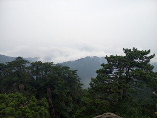 山林云雾间的静谧景致