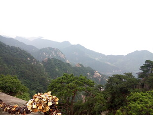 山间繁花与葱郁山峦