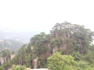 峻峭山峰绿意盎然