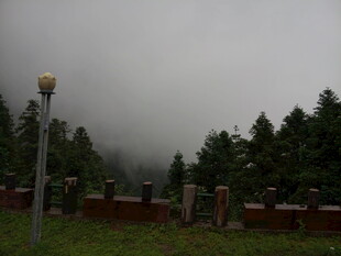 雾中墓地 静谧肃穆景象