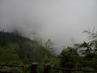 山间雾景 绿意隐现