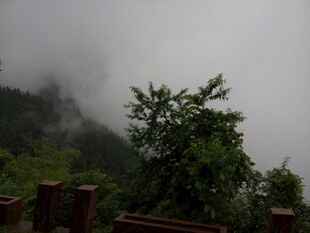 山间云雾缭绕的绿意景致