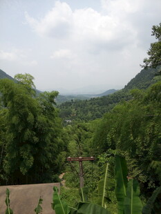 山间绿意盎然的自然景致