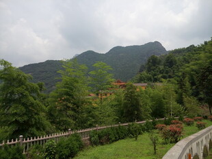 山间绿意盎然的秀丽景致