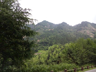 山林葱郁间的秀丽山景