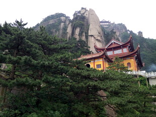 山中古寺隐于葱郁林木间