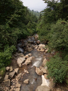 山间溪流 绿意环绕之景