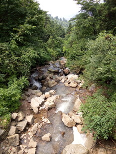 山间溪流 绿意环绕之景