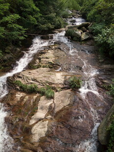 山间溪流潺潺 岩石相伴