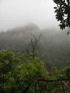 山间云雾缭绕的翠绿景致