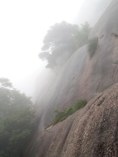 雾中峻峭山岩与绿植
