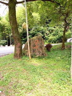 林间草地中的巨石景观