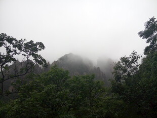 云雾缭绕中的山林景色