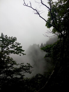 云雾缭绕中的山林景致