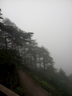 雾中蜿蜒山林小道