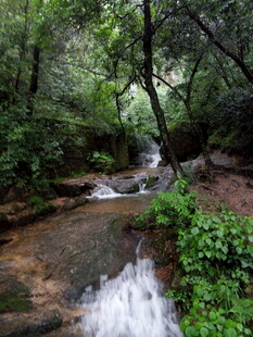 山林间潺潺溪流美景