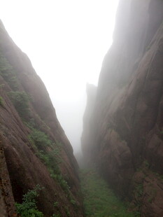 雾中峡谷 峭壁间绿意隐现