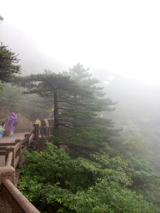 雾中漫步山间栈道