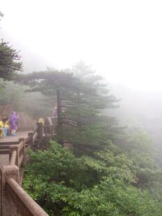 雾中栈道上的游客身影