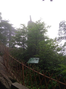 山林中的木质阶梯与标识牌