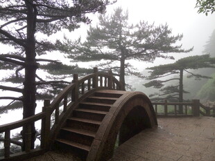 山间木桥隐于雾中