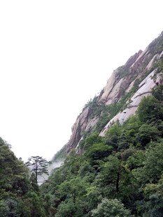 巍峨青山绿意浓