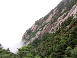 巍峨山峦间的葱郁景致