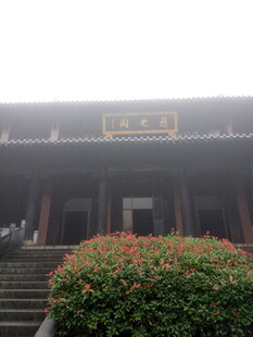 古建前的繁花绿植景观