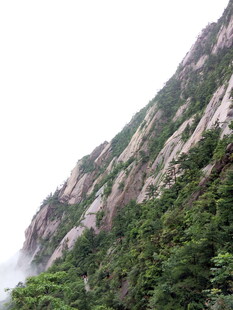 峻峭山峰与葱郁植被