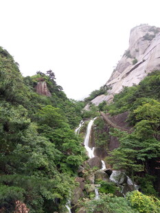 山间飞瀑伴葱郁林木