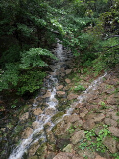 山间溪流 绿意盎然的景致