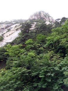 山林绿意与远处雪景