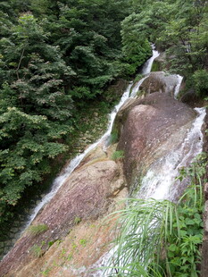 山间瀑布旁的灵动山羊