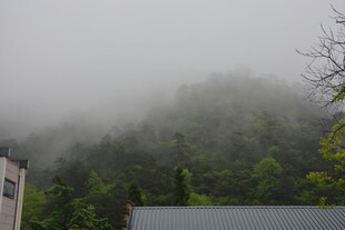 山间雾景 朦胧绿意