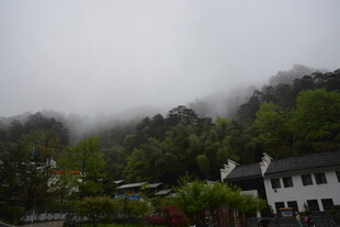 云雾缭绕中的山间民居