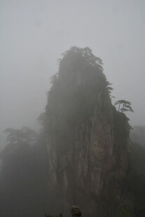 雾中奇峰