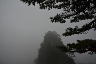 雾中奇峰与松景