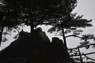 山林间的建筑与树木景观