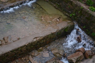 山间溪流潺潺小景