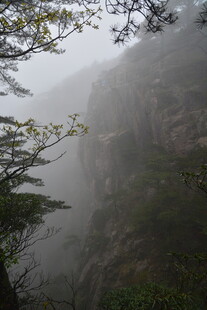 雾中峻岭 隐现葱郁树木