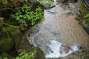 山间溪流 绿意环绕的美景