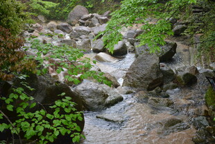 山间溪流穿石而过