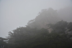 云雾缭绕中的山林景色