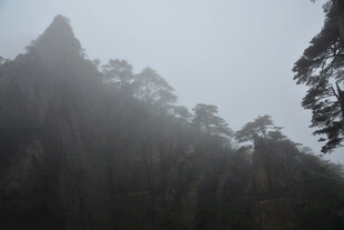 雾中峻岭 松影绰约