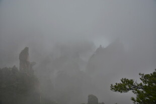 雾中奇峰景观