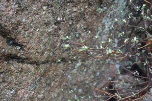 地面上的碎石与散落杂物