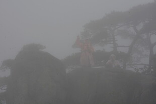 雾中朦胧山林景象