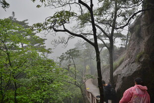 山林间的雨中徒步之旅